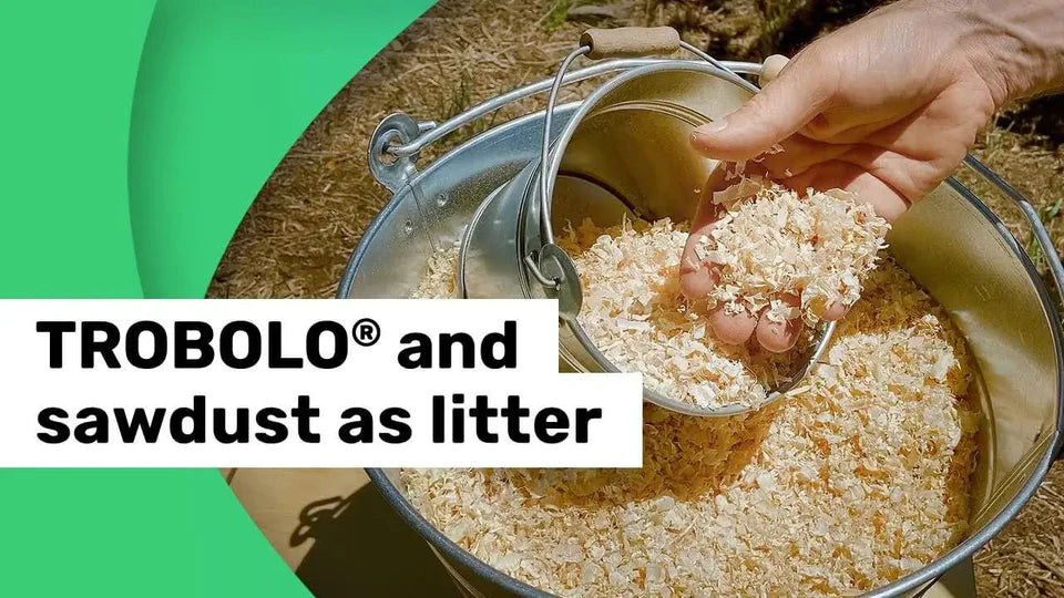 FAQ Video Can sawdust or wood chips be used in place of the litter