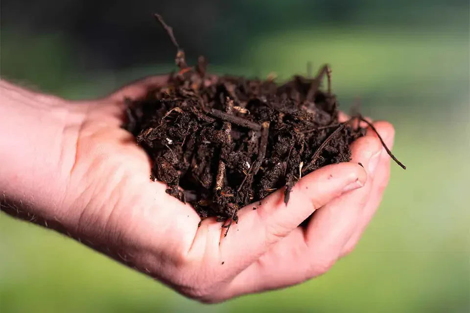 Composted soil
