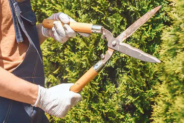 Garden shears