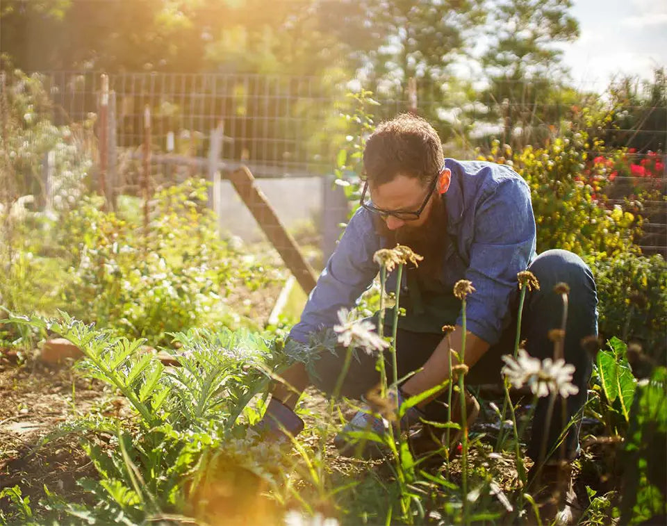 Man composting in garden